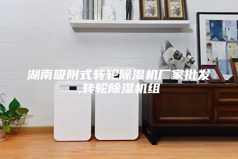 湖南吸附式轉(zhuǎn)輪除濕機(jī)廠家批發(fā),轉(zhuǎn)輪除濕機(jī)組