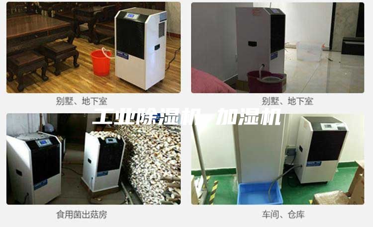 工業除濕機 加濕機