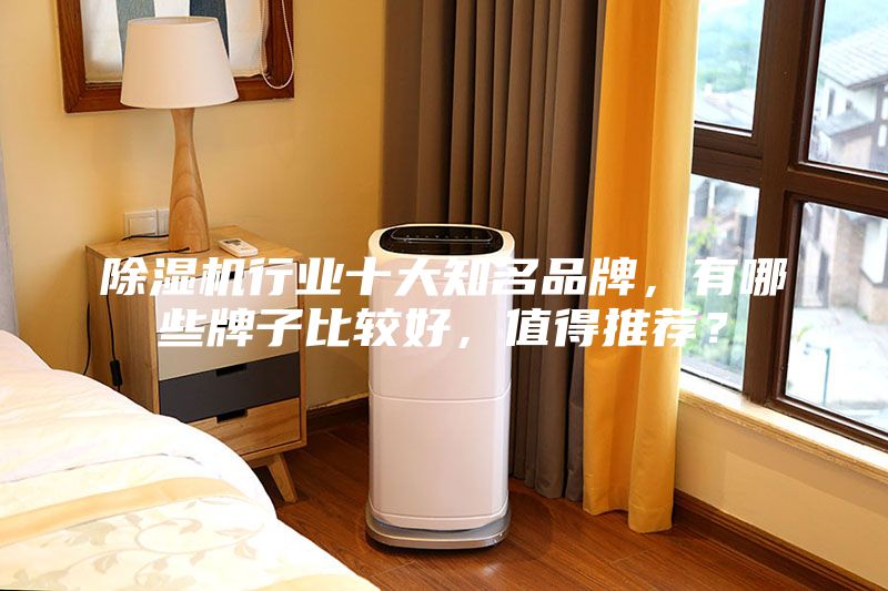除濕機行業十大知名品牌，有哪些牌子比較好，值得推薦？