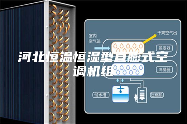 河北恒溫恒濕型直膨式空調(diào)機組