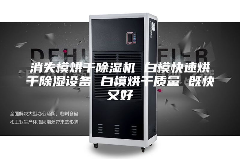 消失模烘干除濕機 白?？焖俸娓沙凉裨O備 白模烘干質量 既快又好