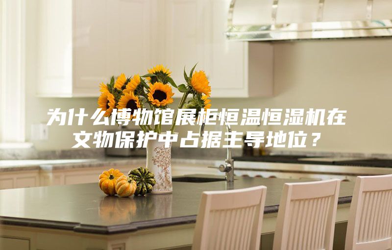 為什么博物館展柜恒溫恒濕機在文物保護中占據主導地位？