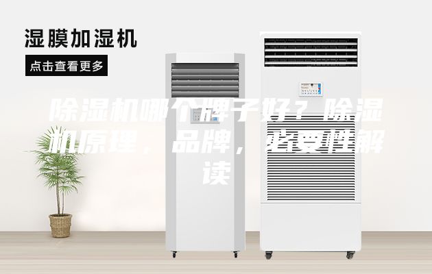 除濕機哪個牌子好？除濕機原理，品牌，必要性解讀