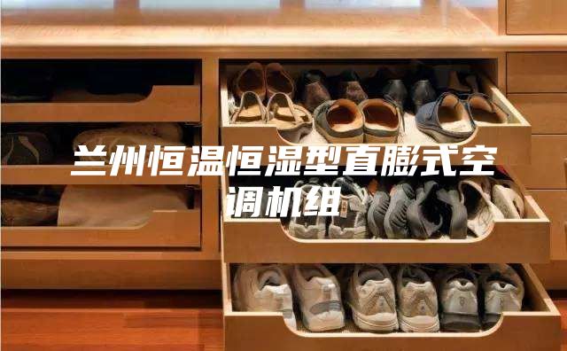 蘭州恒溫恒濕型直膨式空調(diào)機(jī)組