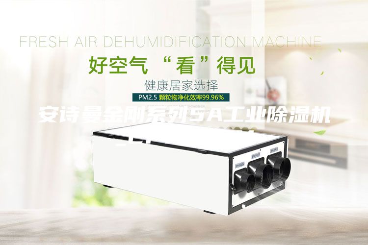 安詩(shī)曼金剛系列5A工業(yè)除濕機(jī)_CF7.5ASM