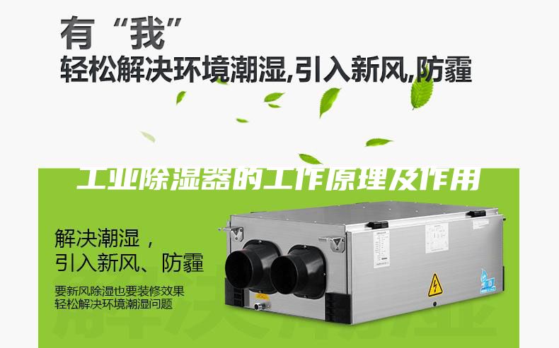 工業(yè)除濕器的工作原理及作用