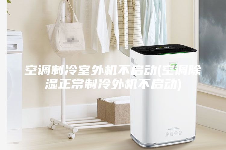 空調(diào)制冷室外機不啟動(空調(diào)除濕正常制冷外機不啟動)