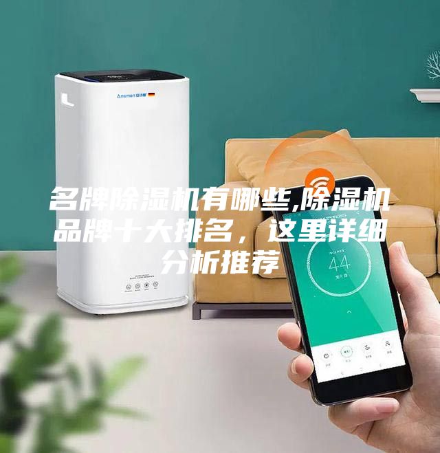 名牌除濕機有哪些,除濕機品牌十大排名，這里詳細分析推薦