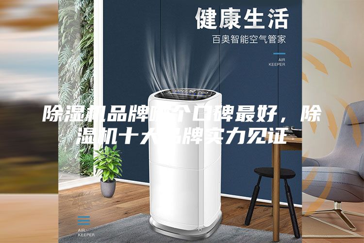 除濕機品牌哪個口碑最好，除濕機十大品牌實力見證