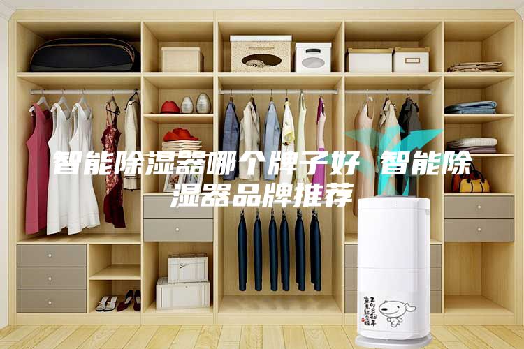 智能除濕器哪個牌子好 智能除濕器品牌推薦
