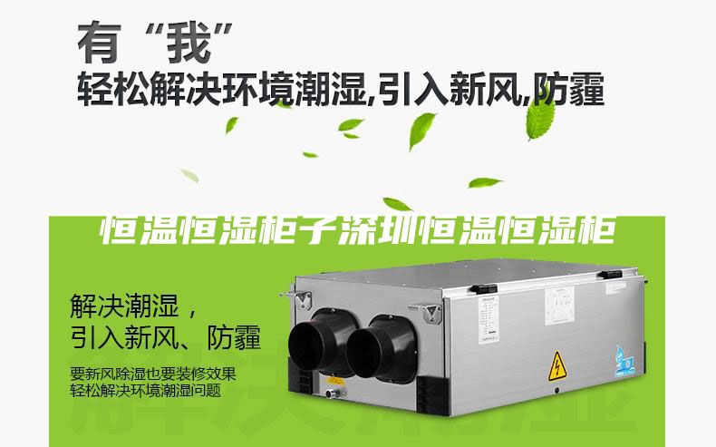 恒溫恒濕柜子深圳恒溫恒濕柜