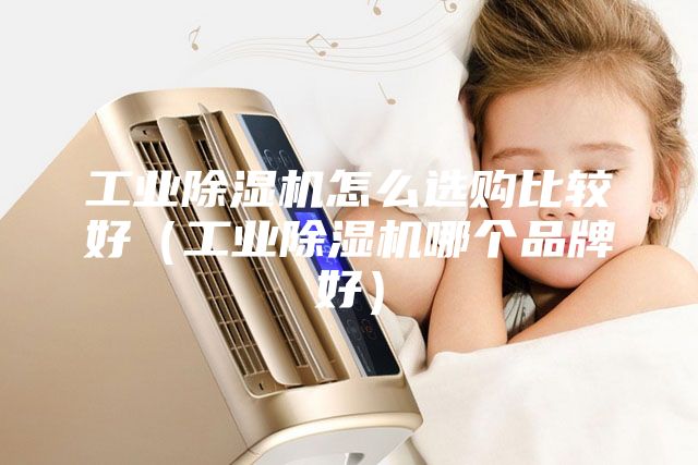 工業除濕機怎么選購比較好（工業除濕機哪個品牌好）
