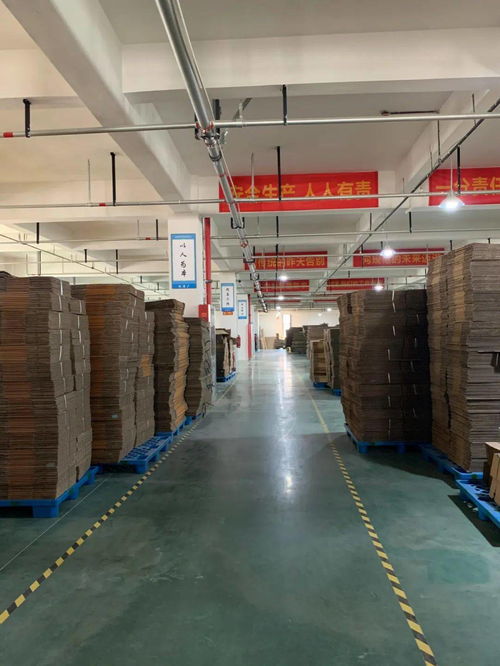 直播回顧 8年行業大咖暢聊 提升紙箱廠生產效率 的4大要點