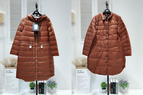 617輕薄羽絨服休閑時(shí)尚女裝精品冬季新款羽絨服搭配
