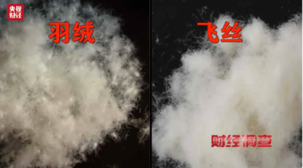 以&ldquo;絲&rdquo;代&ldquo;絨&rdquo;亂象頻生,消費者選購羽絨服時應注意什么?